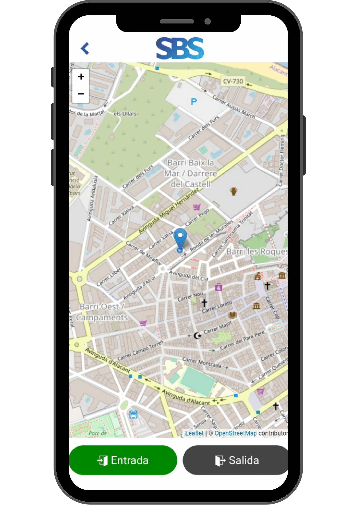 Geolocalización Precisa Icono